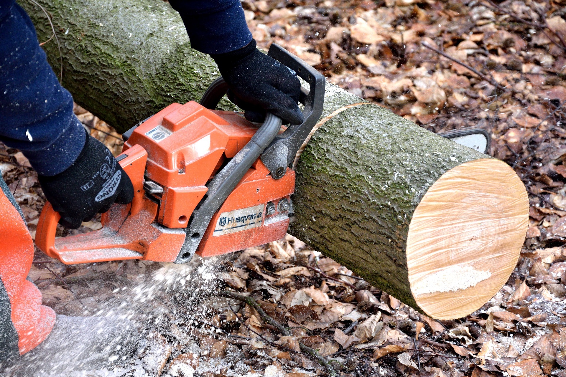 Tree Surgeon Fife
